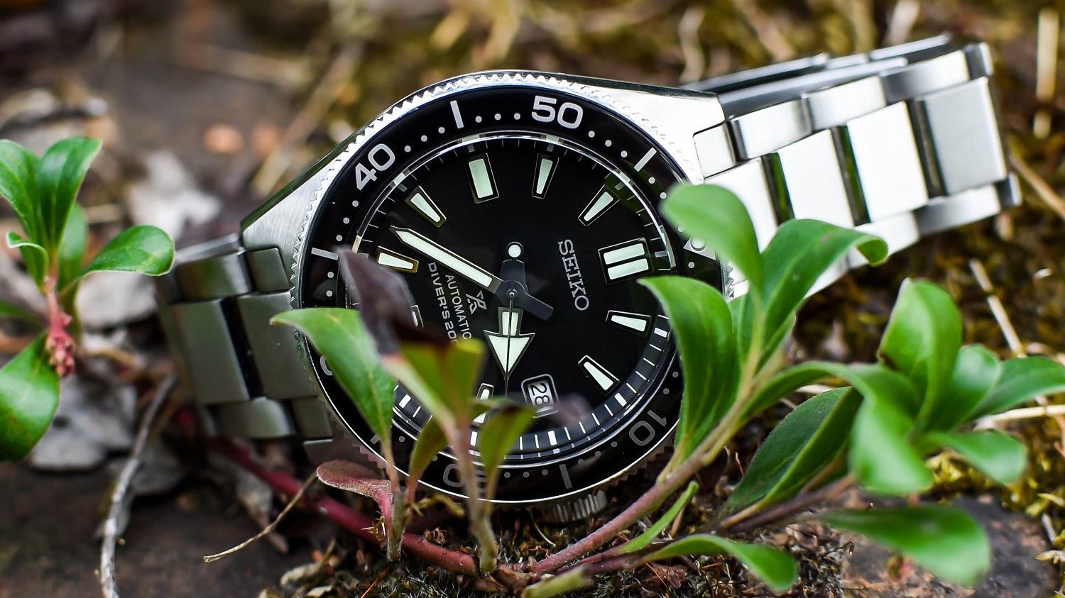 SBDC051 Watch Review | Two Broke Snobs