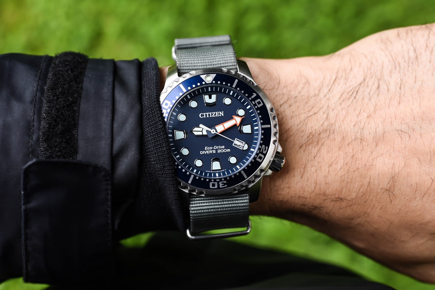 Citizen Promaster Diver Review Is this Eco Drive Diver Right For You