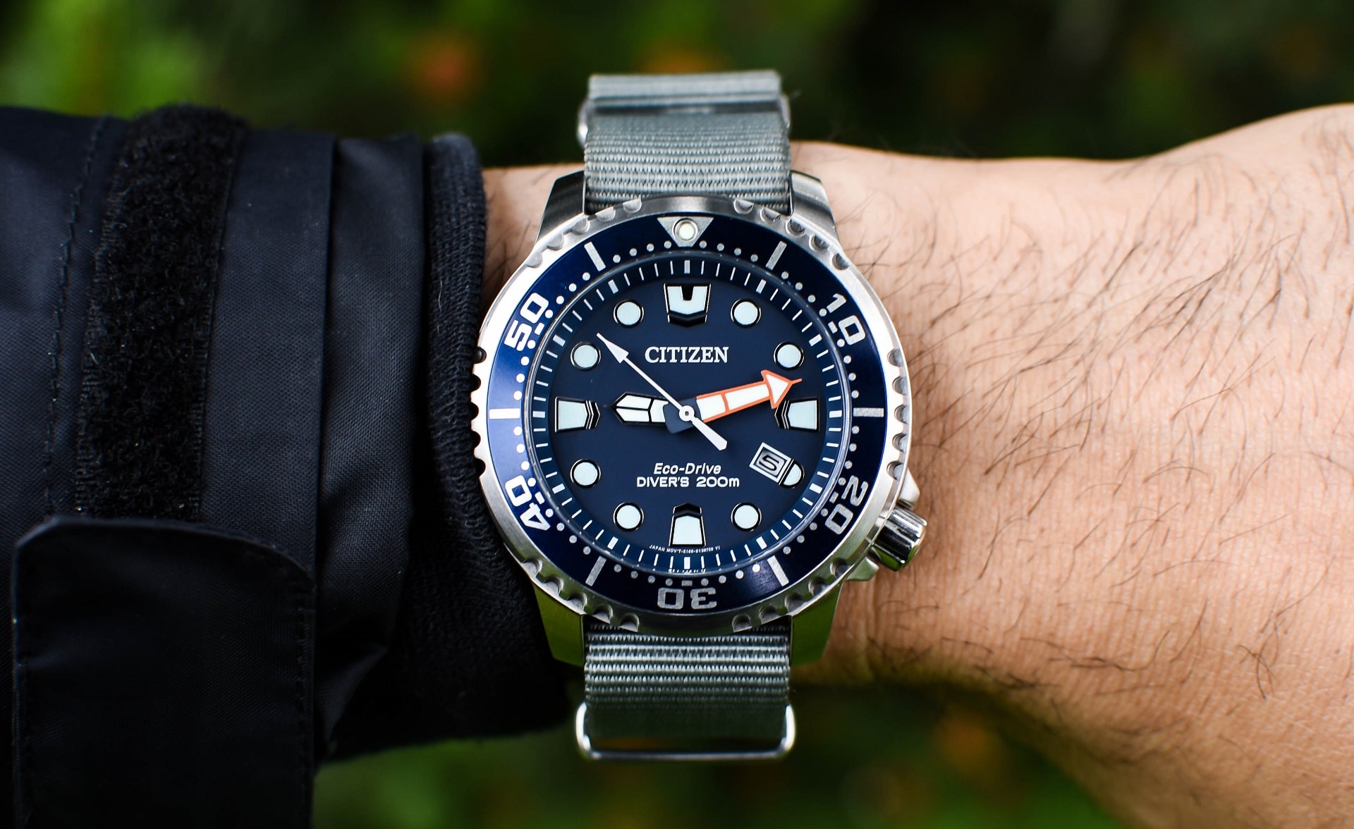 citizen pro diver 300m