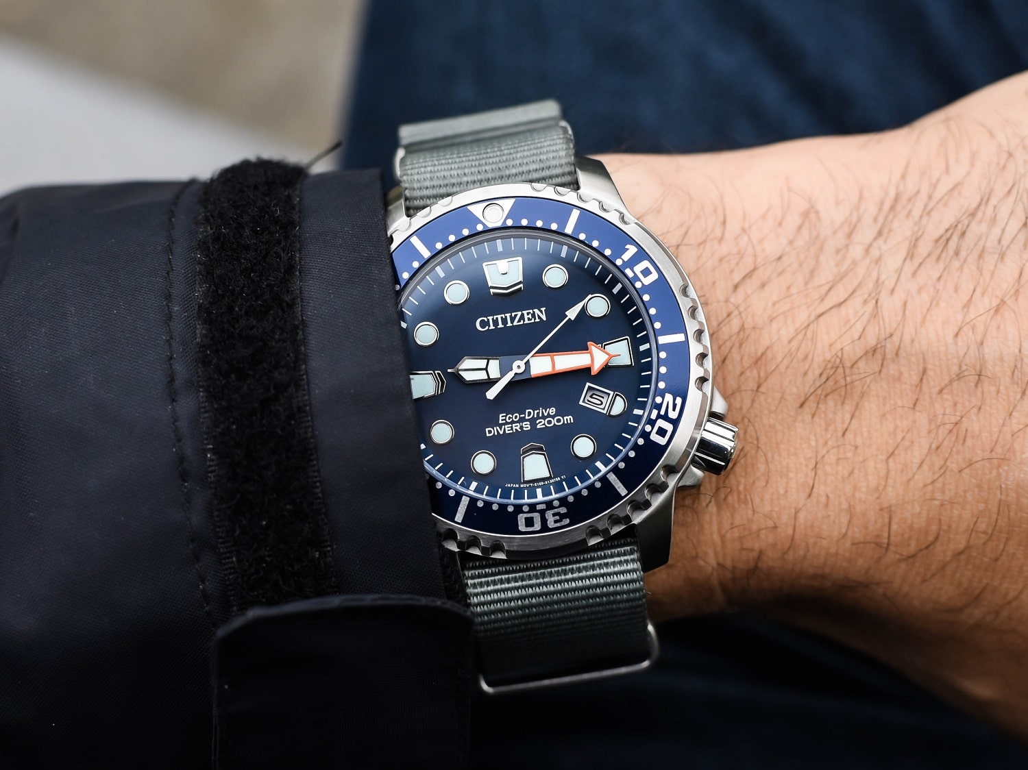 Citizen Promaster Diver Review Is this Eco Drive Diver Right For You