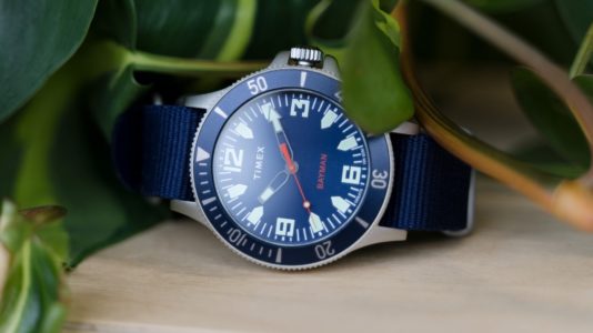 Timex x Greats Bayman Dive Watch