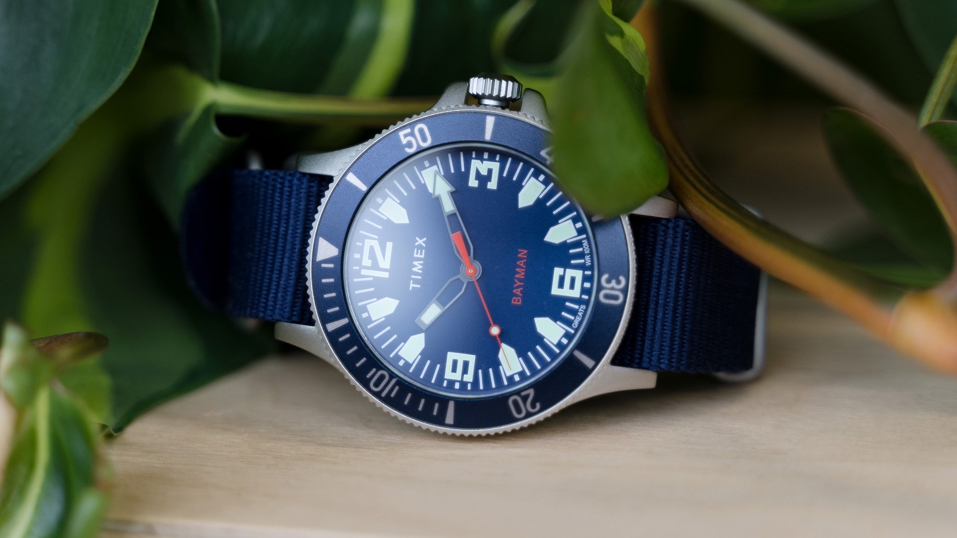 Timex x Greats Bayman Dive Watch | Two Broke Watch Snobs