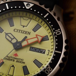 citizen promaster 30th anniversary limited edition