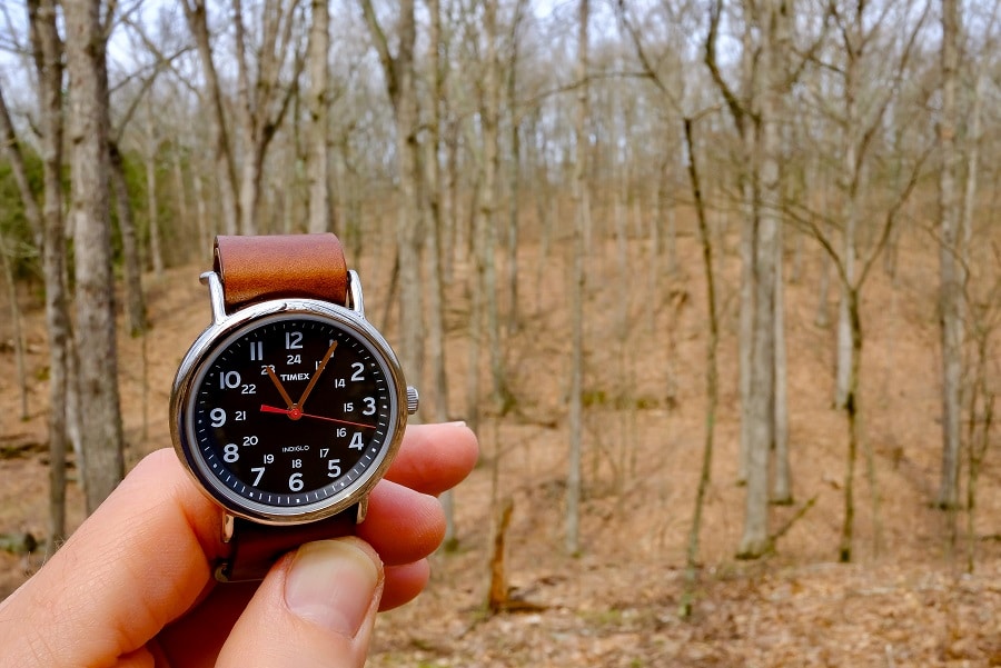 Timex Weekender Review (38mm): All You Need To Know...