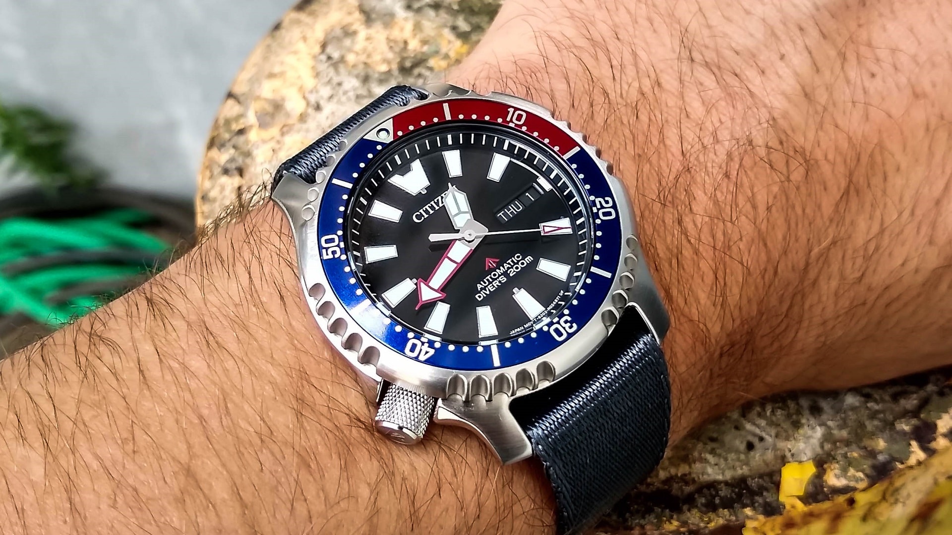 Citizen NY008-11E 'Fugu' Dive Watch Review | Two Broke Watch Snobs