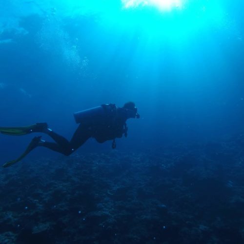 Florida Man Swims with Rolex Submariner
