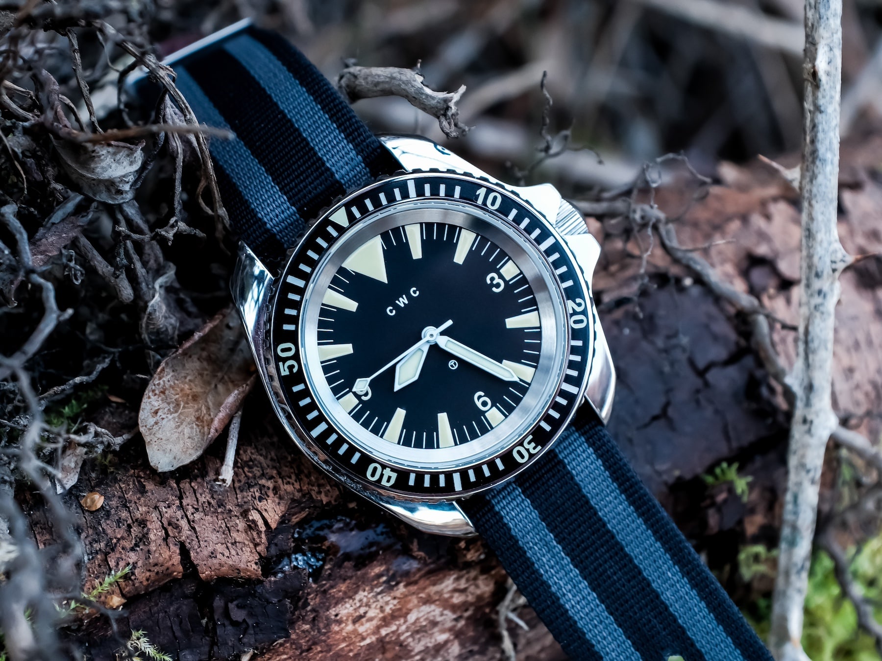 CWC 1980 Royal Navy Diver: How Close Is It To The Original?