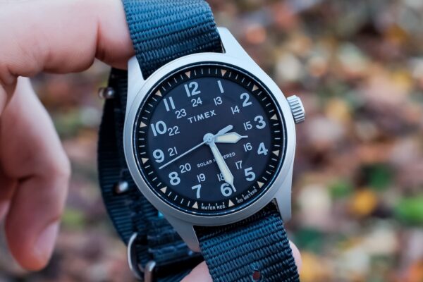 Hamilton Khaki vs Timex Expedition: Hands-On Field Watch Value Comparison