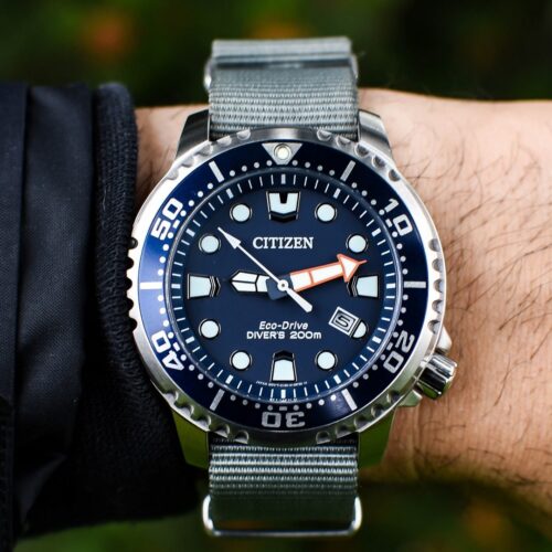 Citizen Promaster vs Omega Seamaster: A $300 vs $6K Dive Watch Comparison