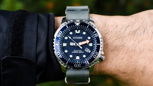 Citizen Promaster vs Omega Seamaster: A $300 vs $6K Dive Watch Comparison