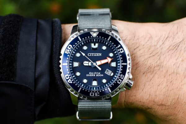 Citizen Promaster vs Omega Seamaster: A $300 vs $6K Dive Watch Comparison